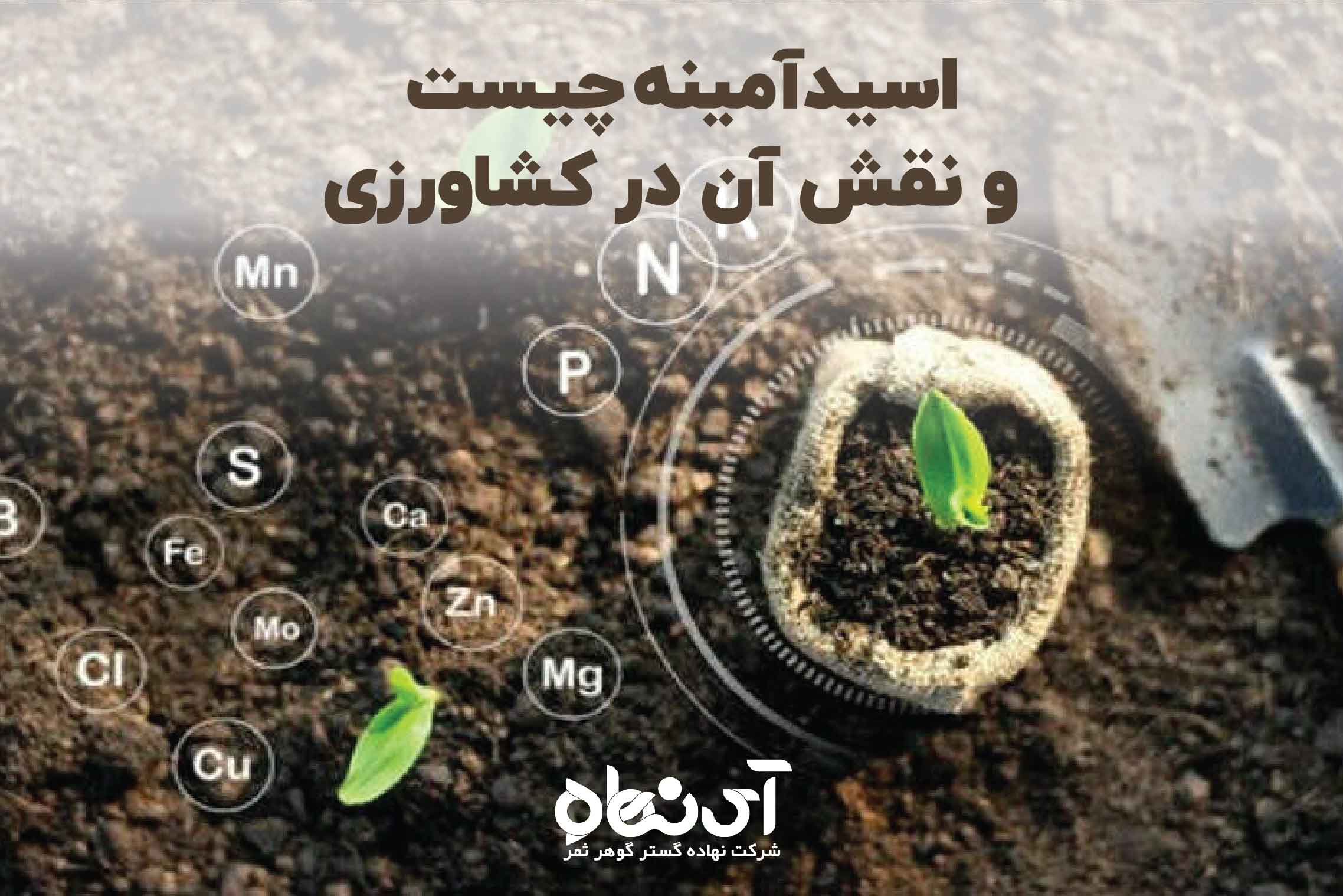 اسیدآمینه چیست و نقش آن در کشاورزی